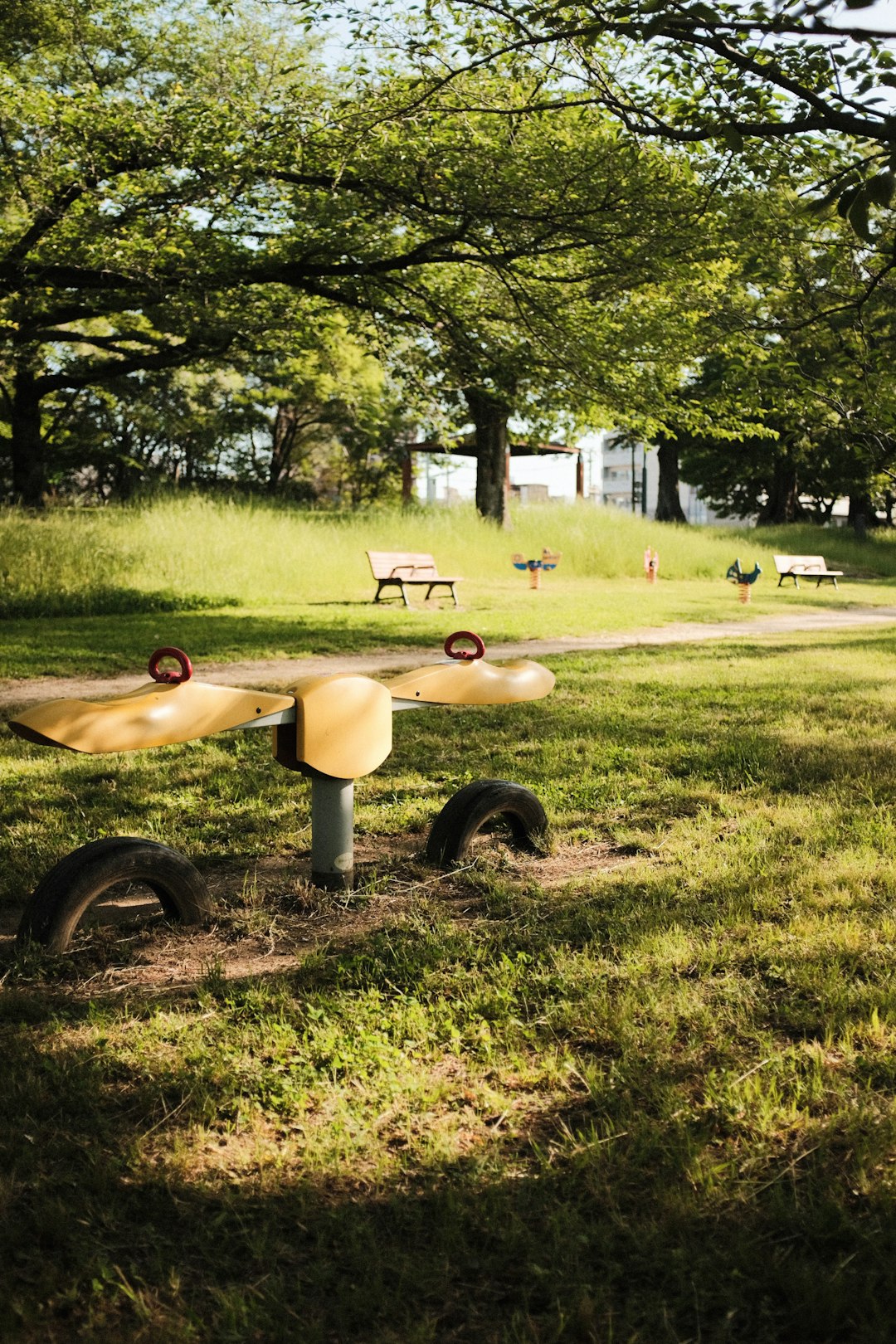 brown wooden bench on green grass field during daytime