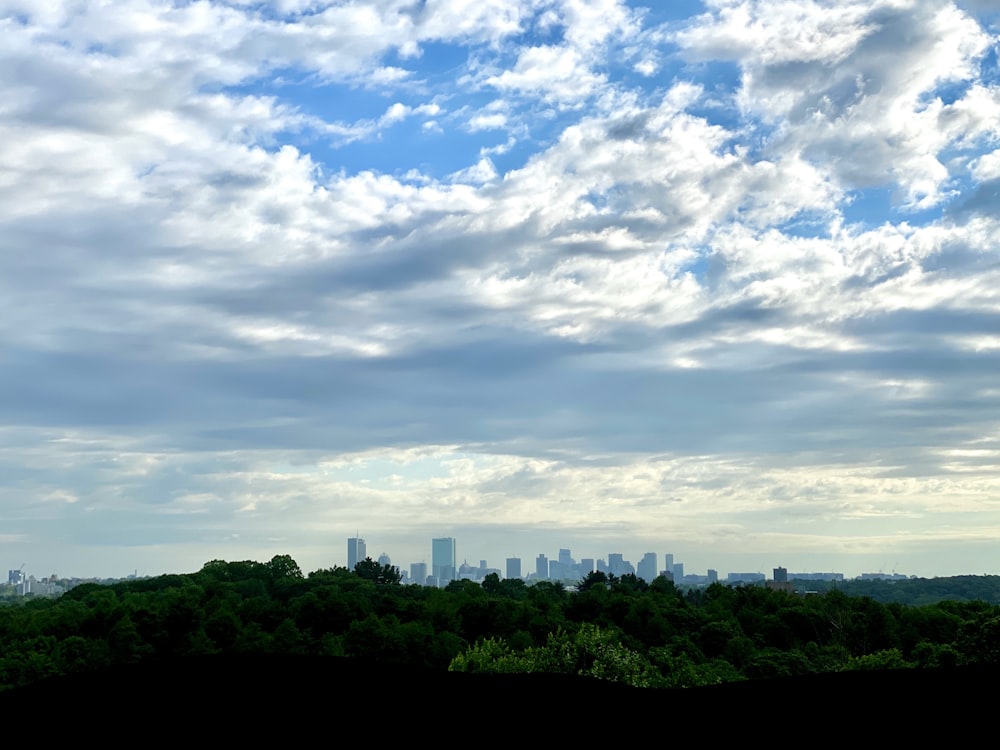 green trees under white clouds during daytime