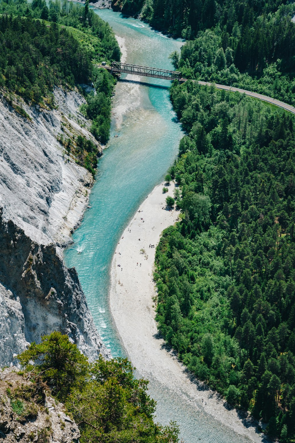 aerial view of green trees beside body of water during daytime