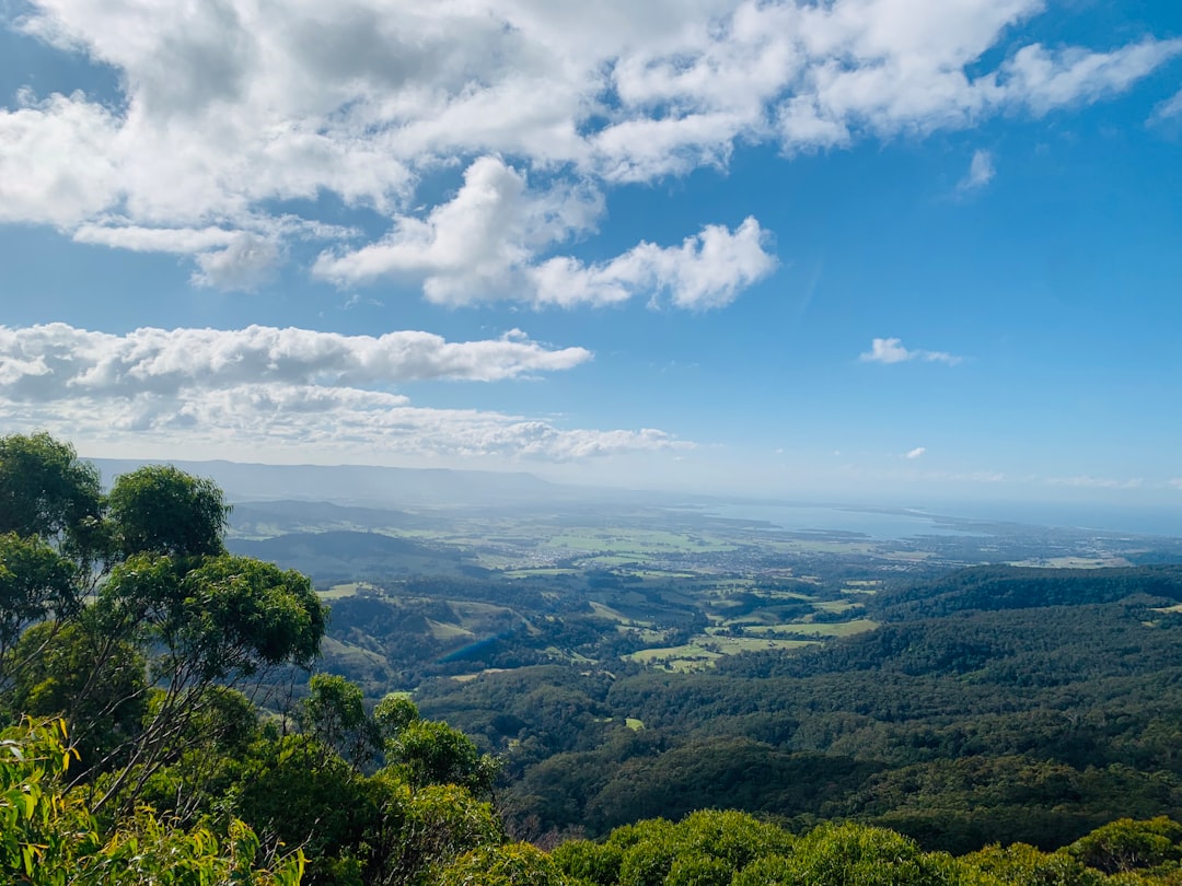 Hill station photo spot Illawarra Fly Treetop Walk Australia