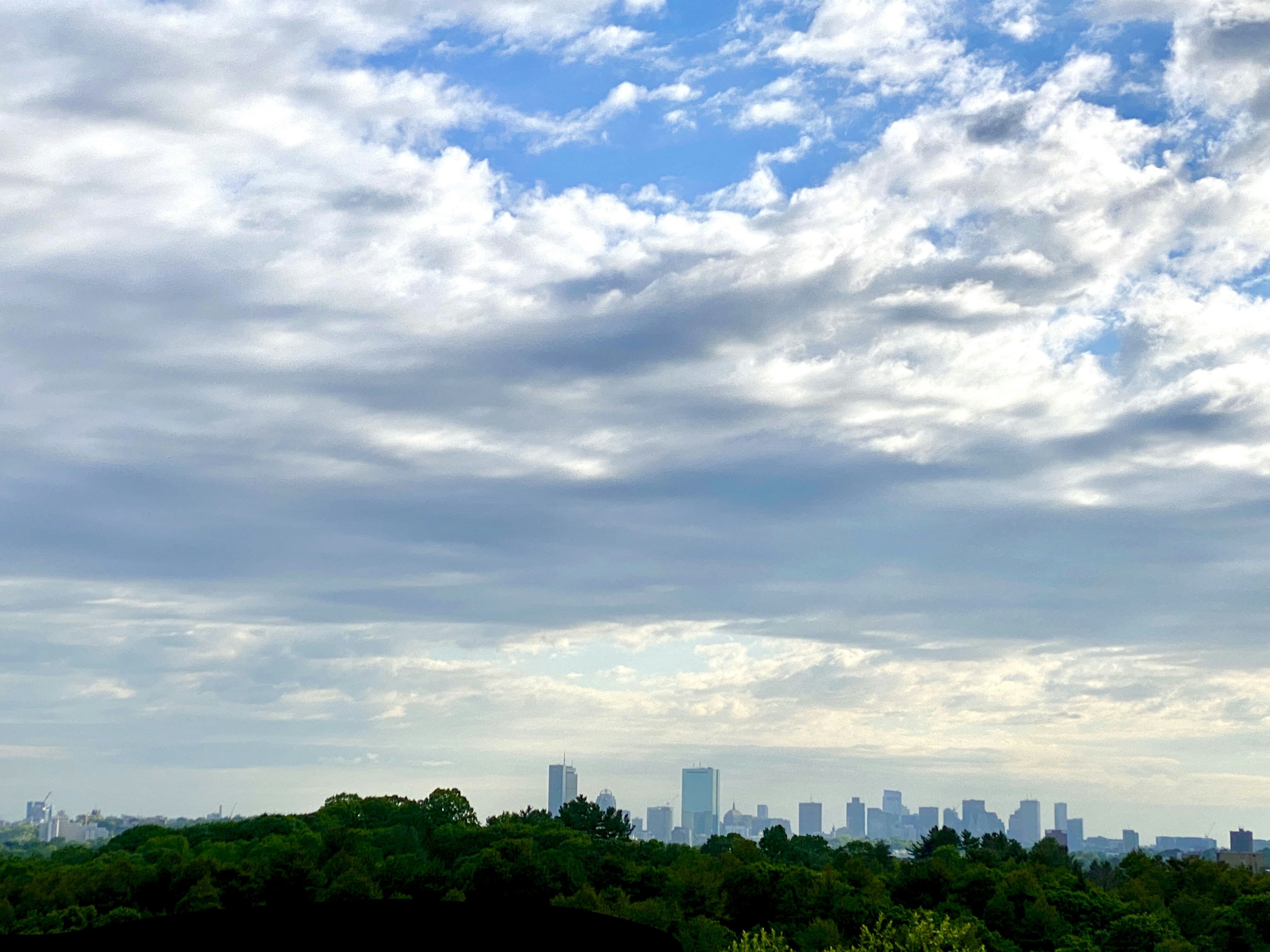 Photo by nothingaholic