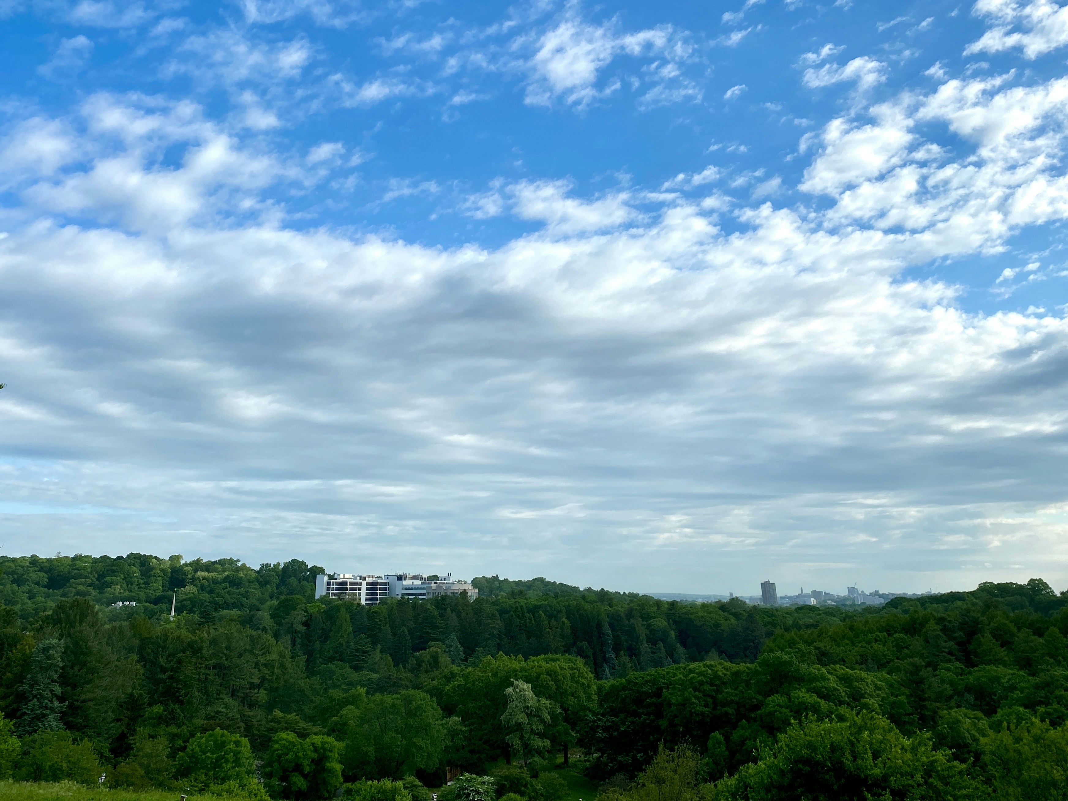 Photo by nothingaholic