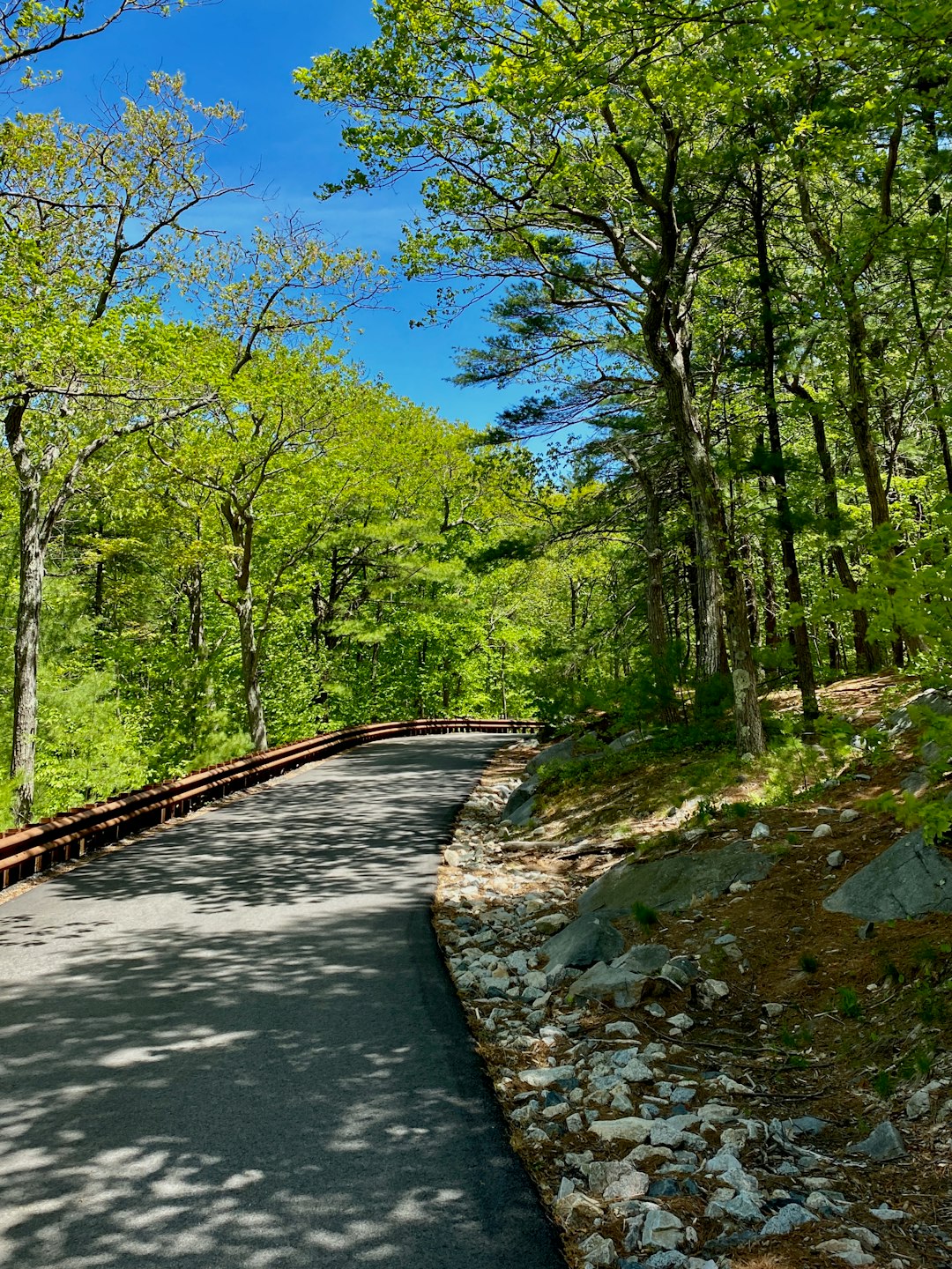 Forest photo spot Blue Hills Trailside Museum Arnold Arboretum of Harvard University