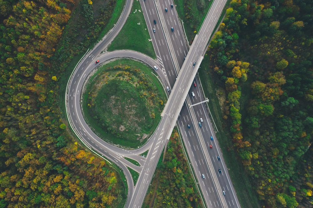 aerial view of green trees and road