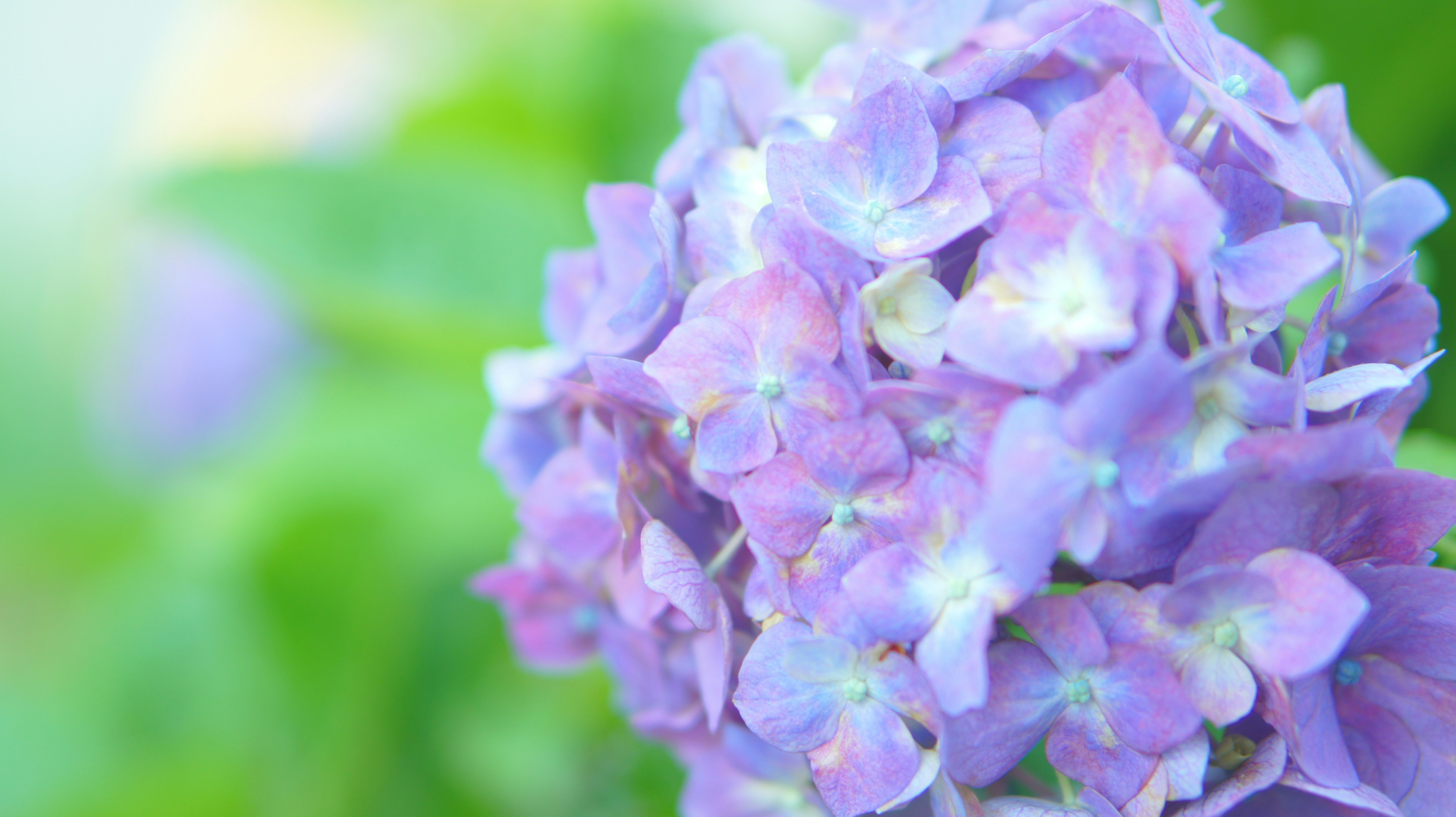 Photo by kiyomishiomura