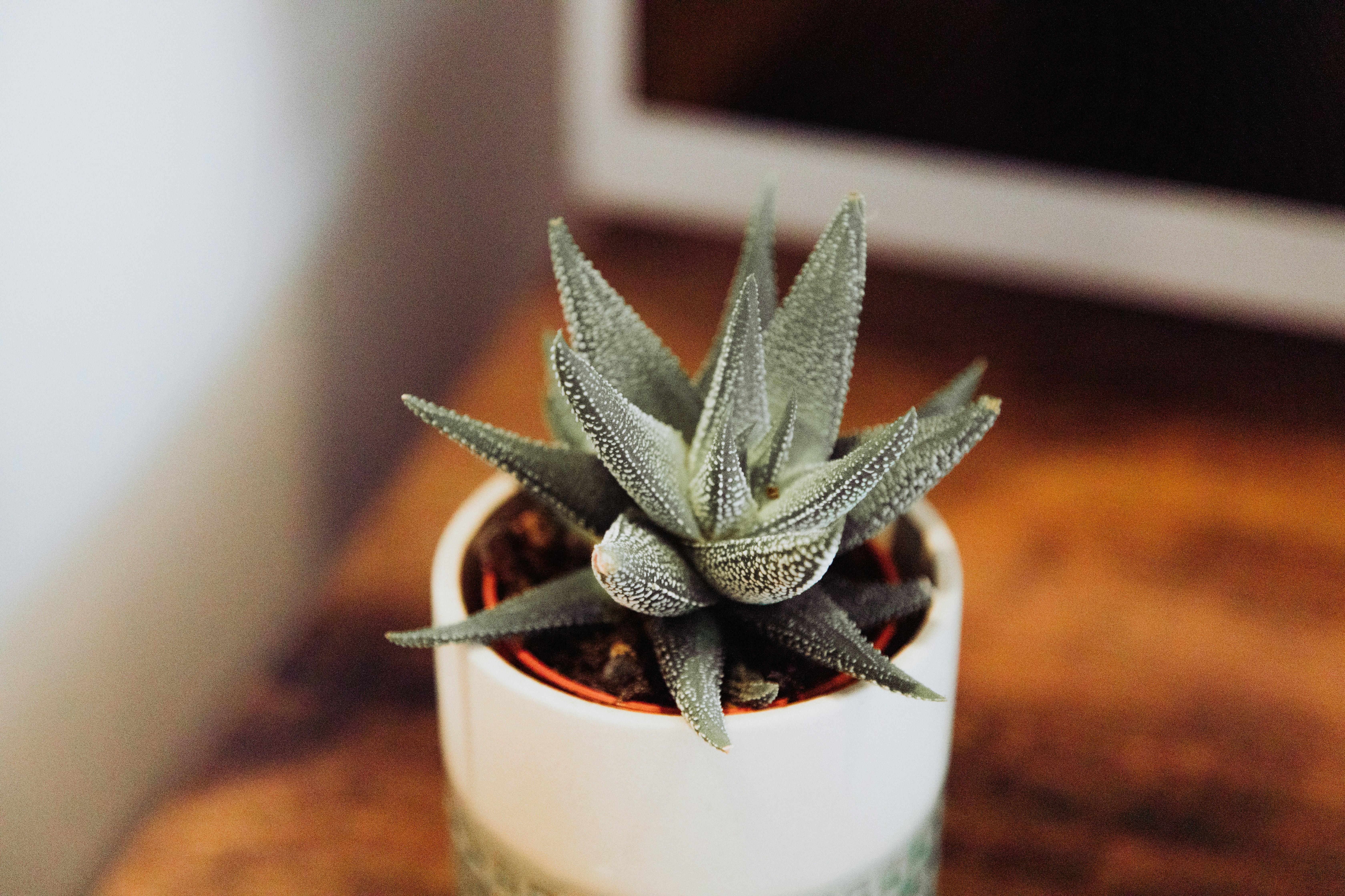 Photo by nicolasjleclercq