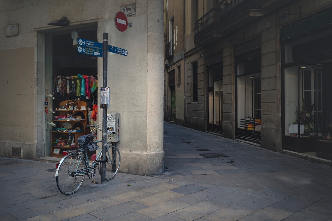 bicycles parked beside the road