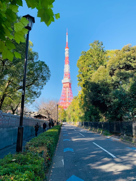 brown and white tower near green trees during daytime in Shiba Park Japan