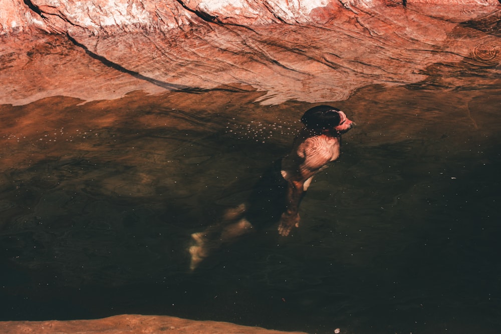 man in black shorts in water