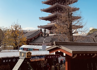 white and brown pagoda temple