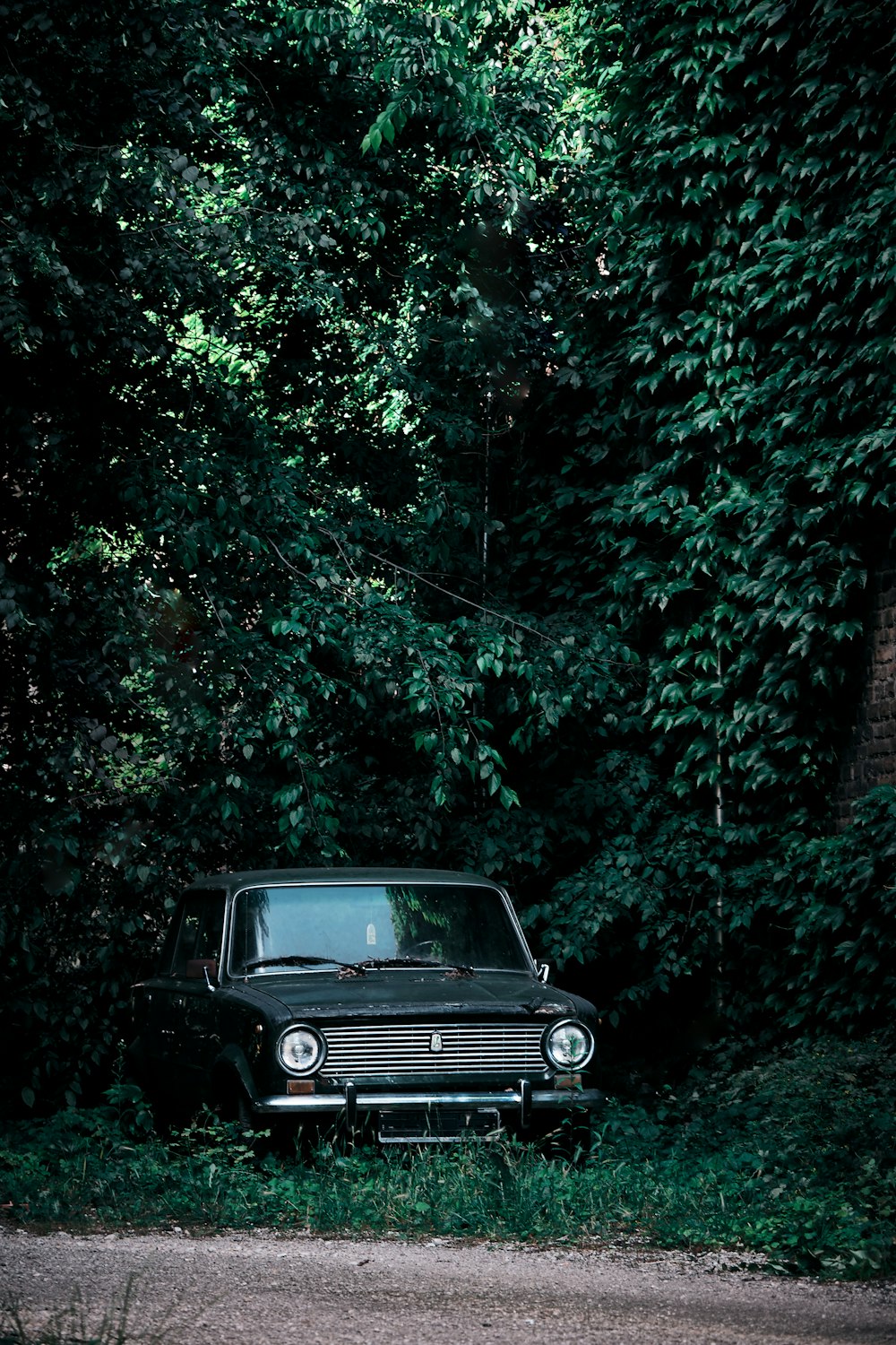 black car in the middle of the forest