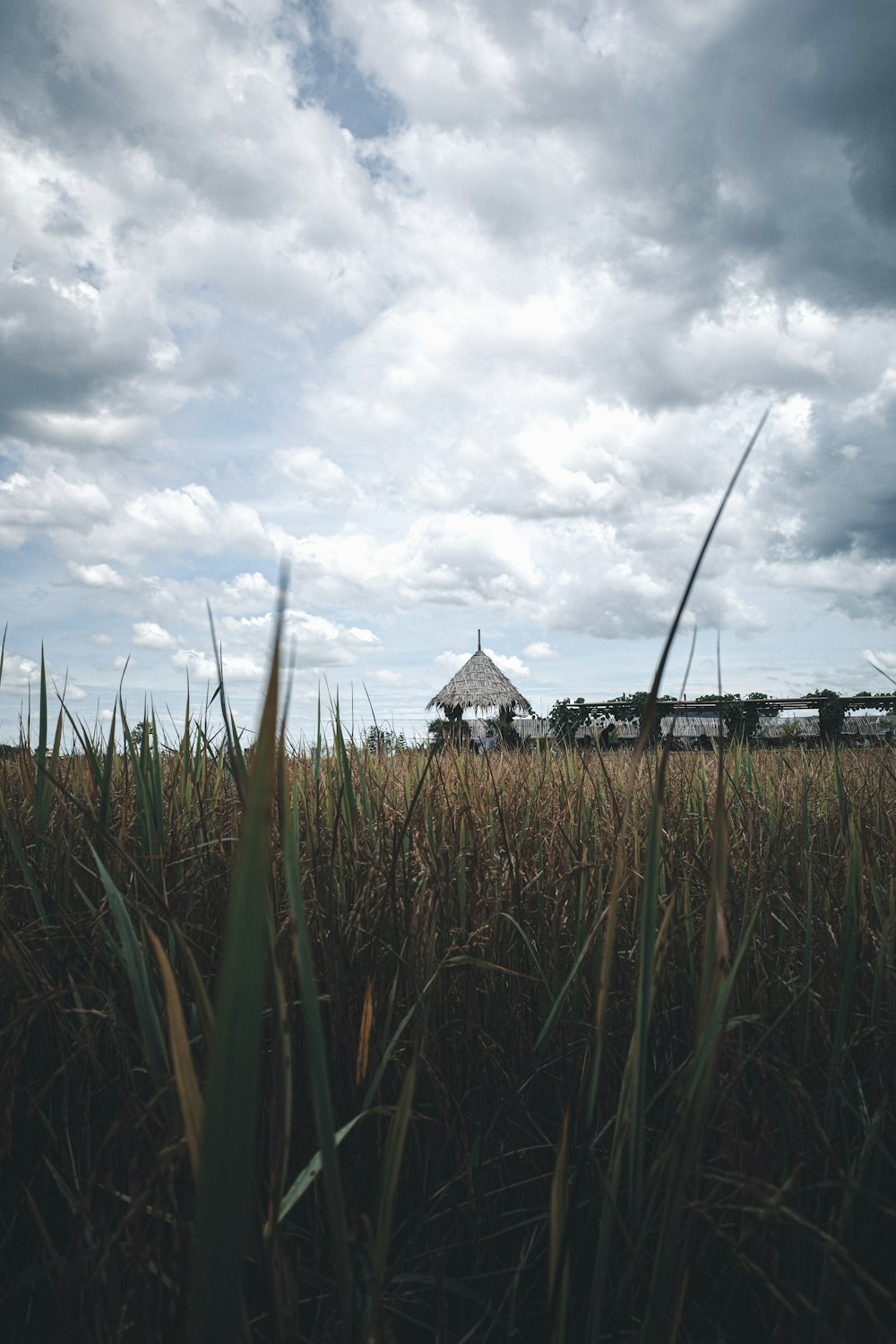 brown and black house under white clouds during daytime