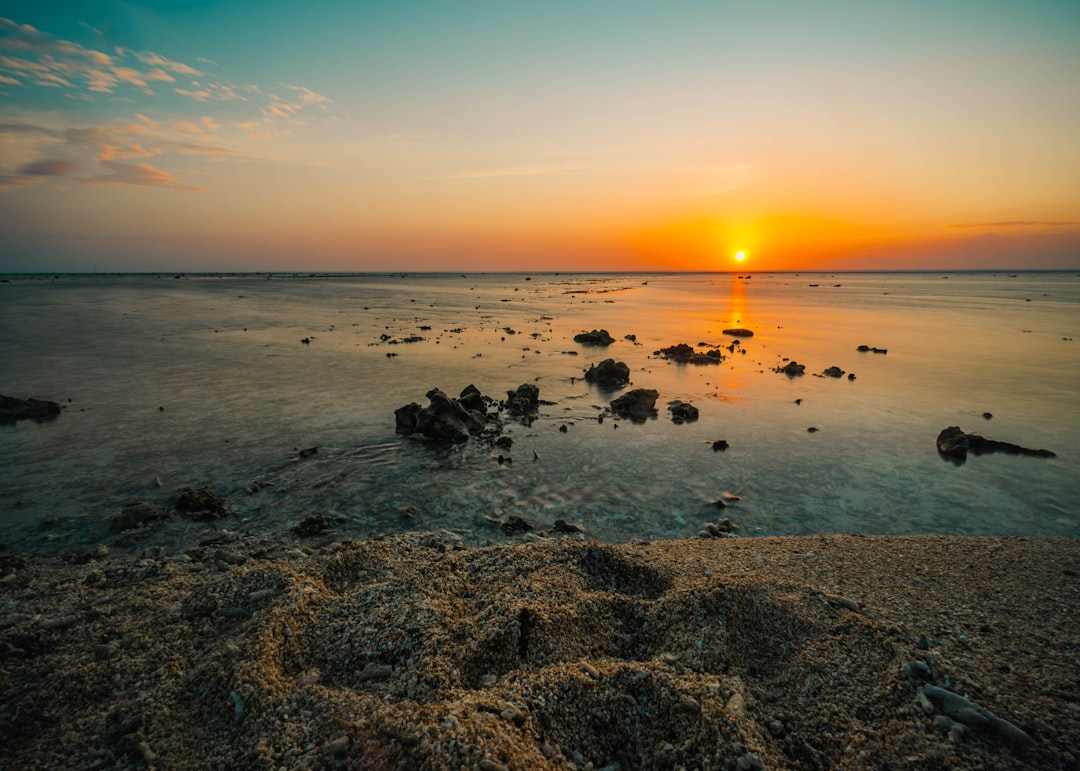 silhouette of people on beach during sunset