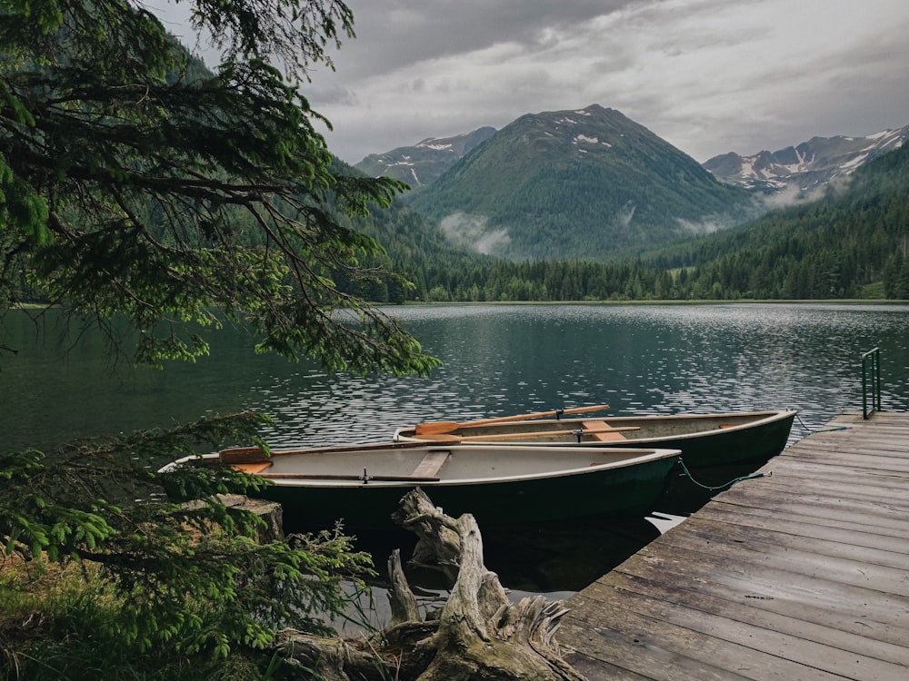 brown wooden boat on lake near green trees and mountain during daytime