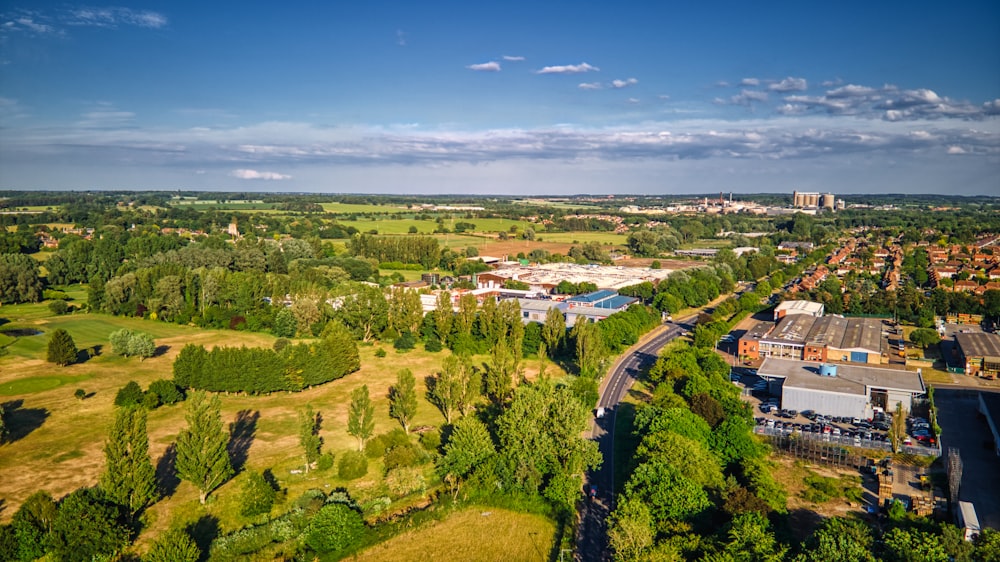 aerial view of green trees and green grass field during daytime