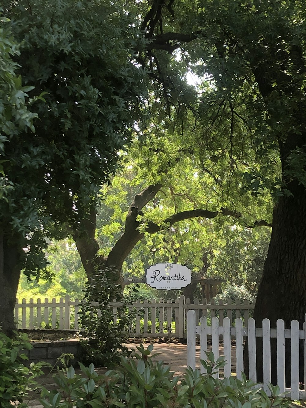 white wooden fence near green trees during daytime