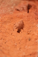 Close-up of raw bentonite clay freshly extracted from the mine.