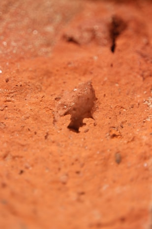 Close-up of rich, earthy bentonite clay ready for processing.