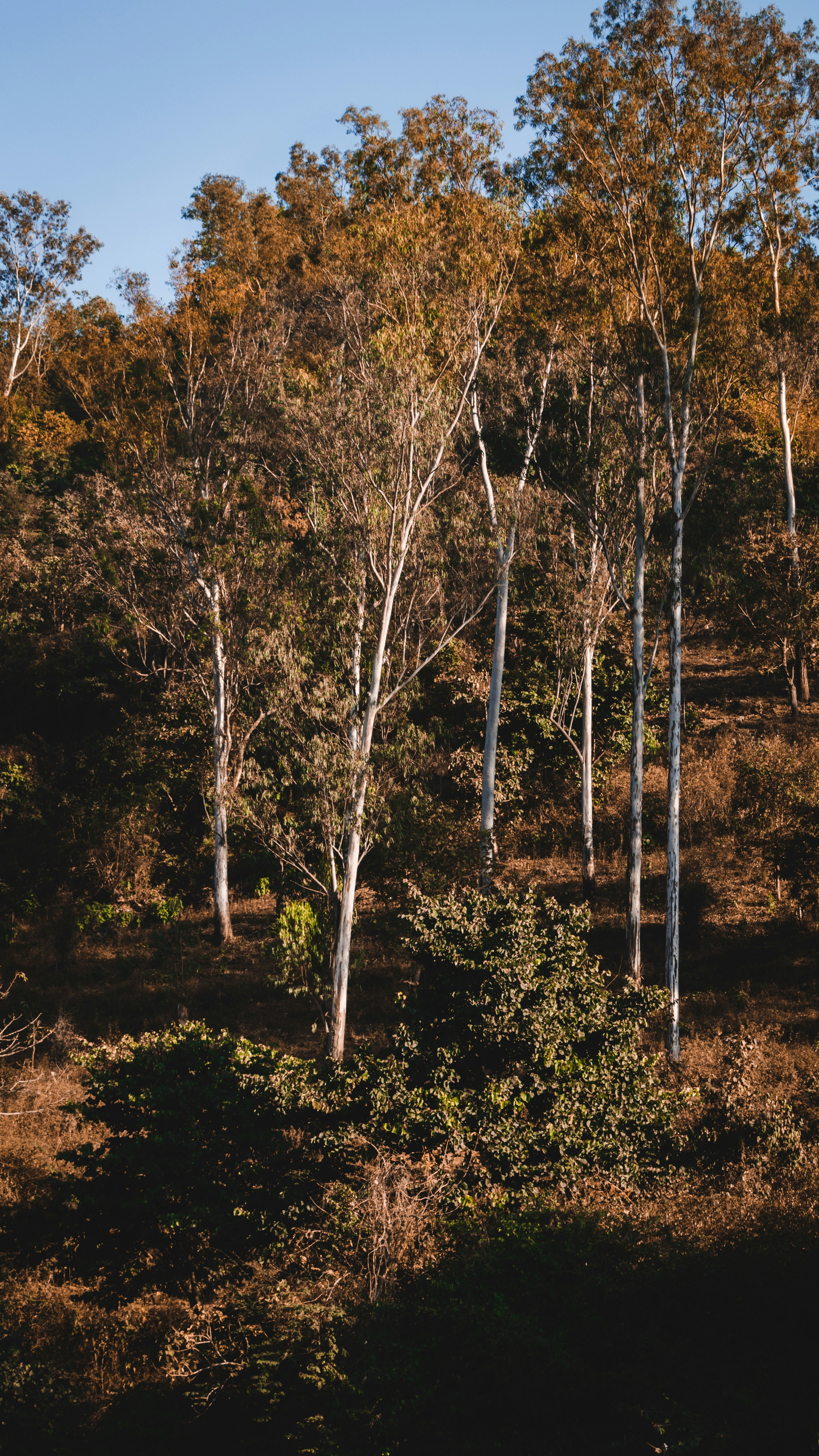 Photo by paulsilvan
