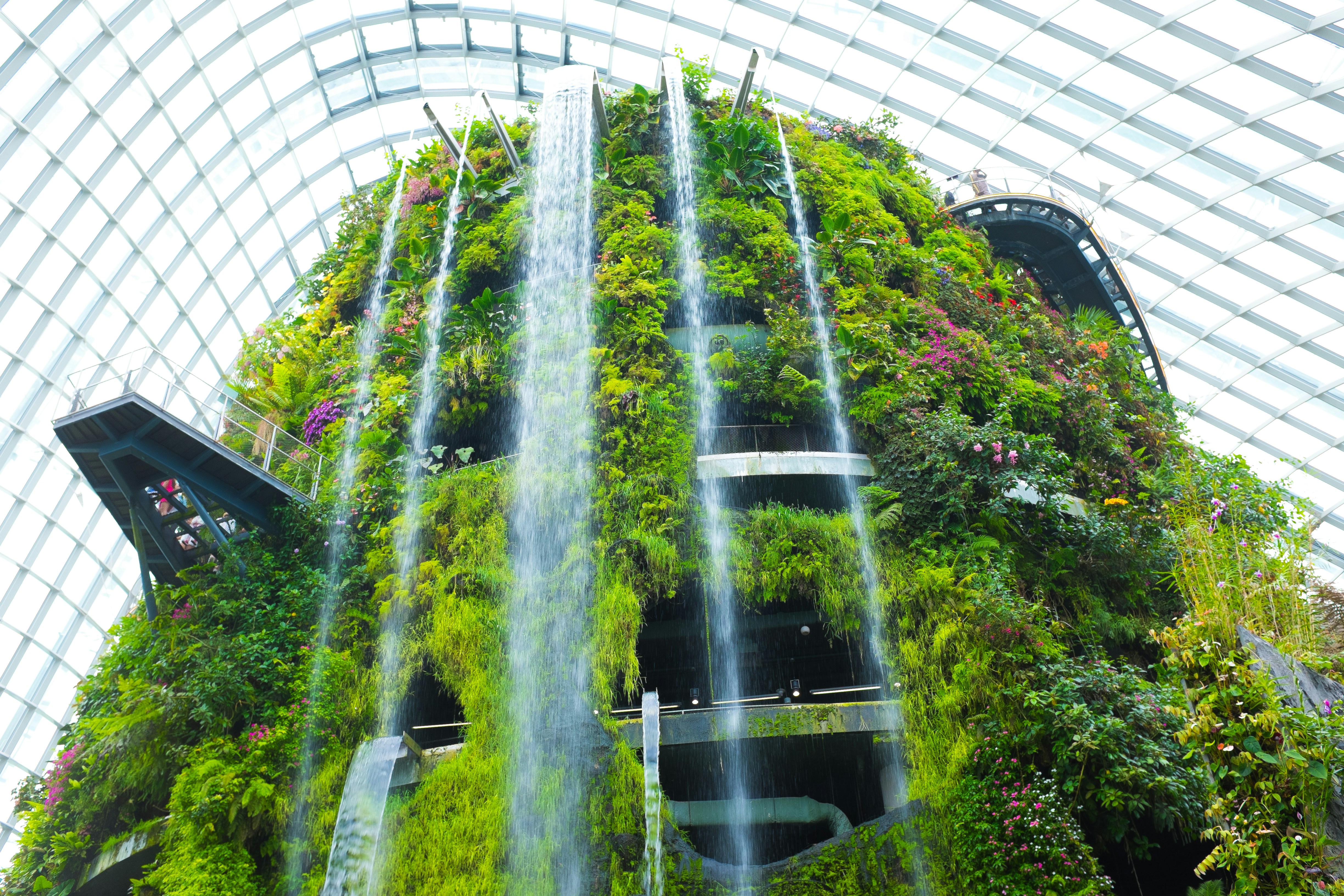 Singapore vertical garden with tropical plants and waterfall