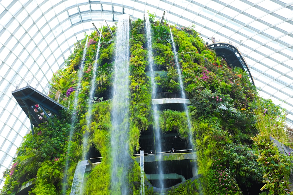 green trees in a white building