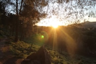 Sunset casting warm light over the forest canopy and adventure trails.