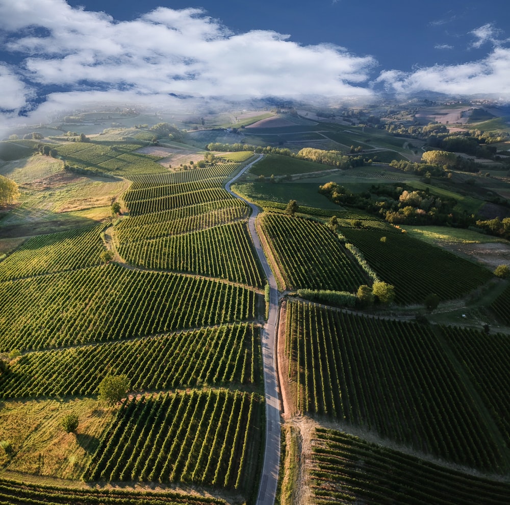 Vista aérea del campo de hierba verde bajo el cielo nublado durante el día