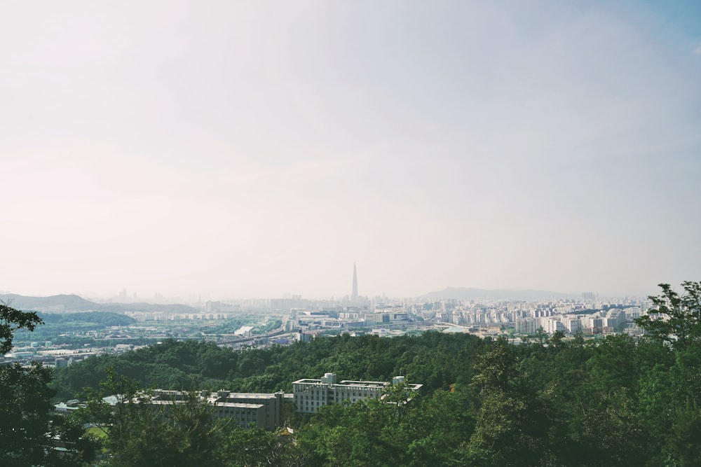 city buildings and green trees under white sky during daytime