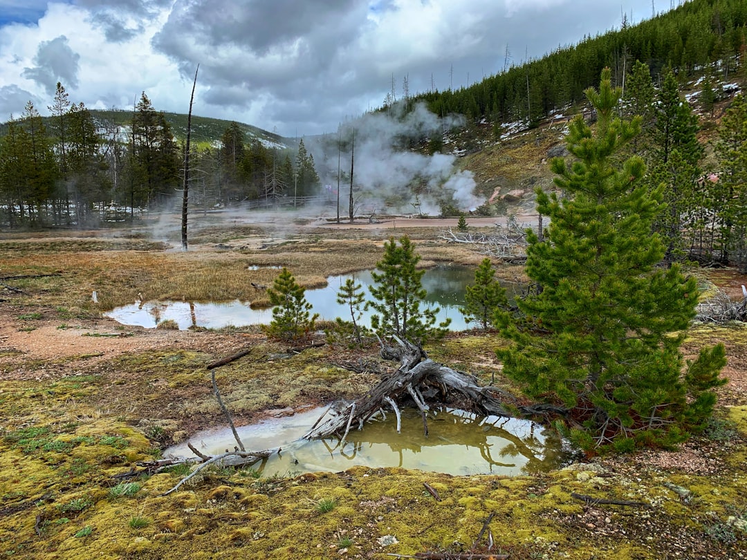 travelers stories about Nature reserve in Yellowstone National Park, United States