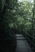 brown wooden bridge in the forest