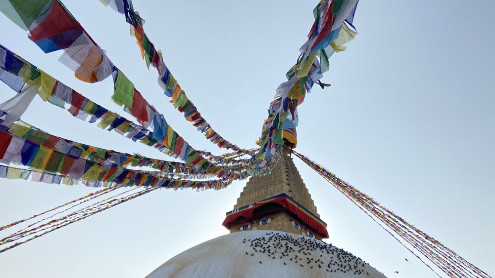 low angle photography of multi color buntings