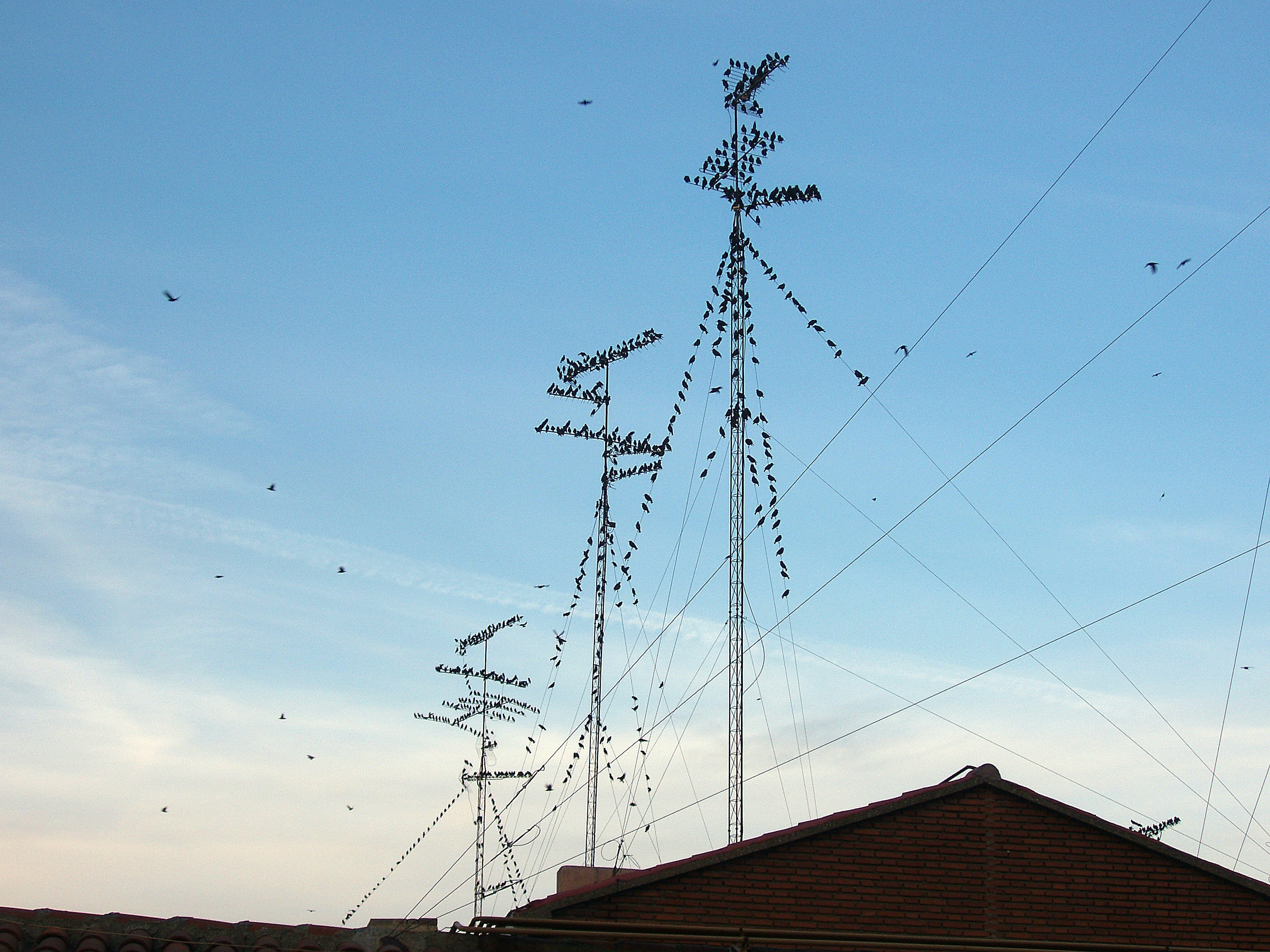 Understanding Radio Frequency (RF): The Key to Wireless Communication