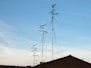 Several telecommunications antennas are mounted on rooftops, with numerous birds perched on the metal structures. The sky is clear with a light blue hue, and a few birds are flying nearby.