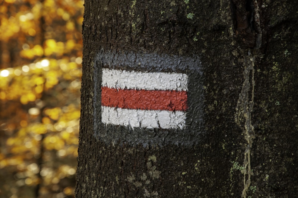 red and white arrow sign on brown tree trunk