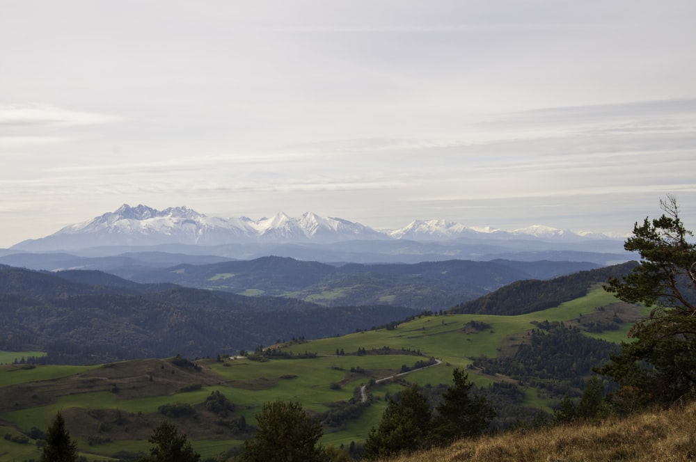 Champ d’herbe verte et montagnes pendant la journée