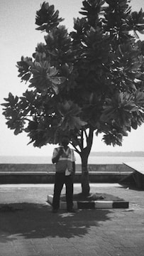 Level 5 arborist inspecting a mature tree for health assessment.