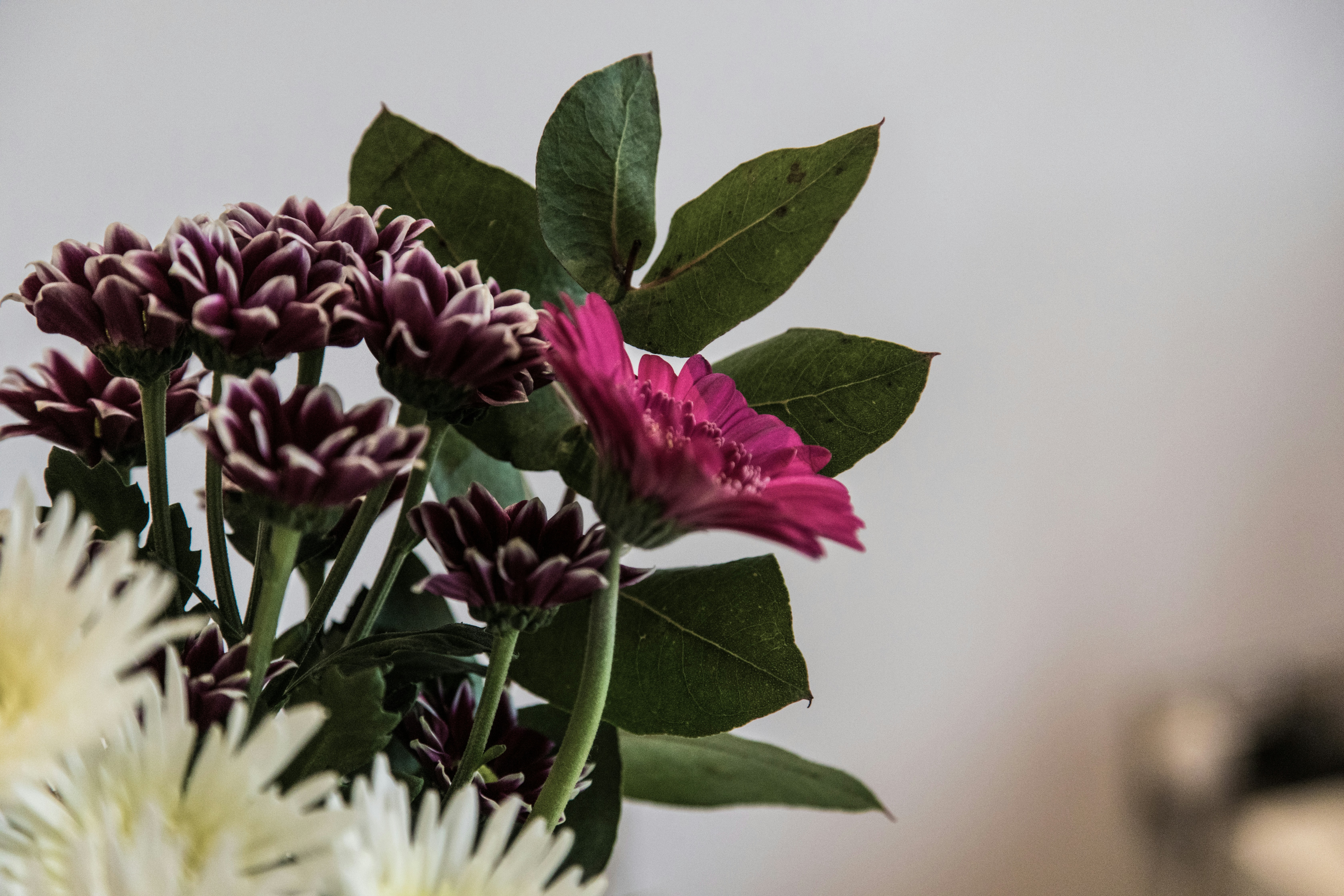 Photo by nicolasjleclercq