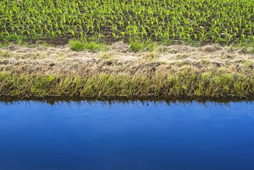 A serene landscape featuring a water irrigation system.