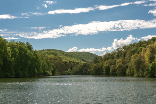 green trees near body of water under blue sky during daytime in Jasov Slovakia