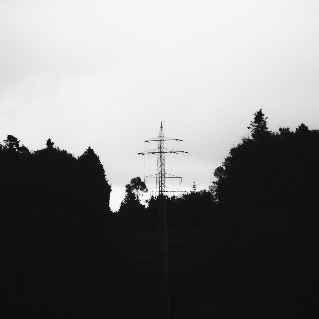 silhouette of trees and electric post during daytime