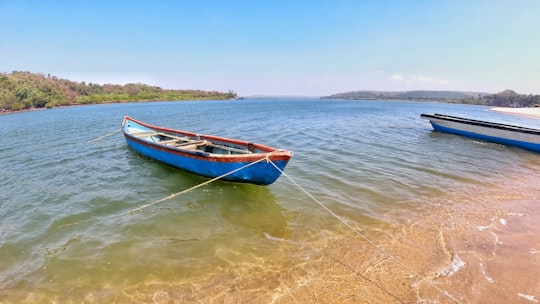 red and white boat on sea during daytime in Querim India