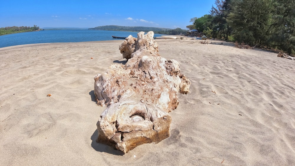 Roca blanca y marrón en la playa de arena blanca durante el día