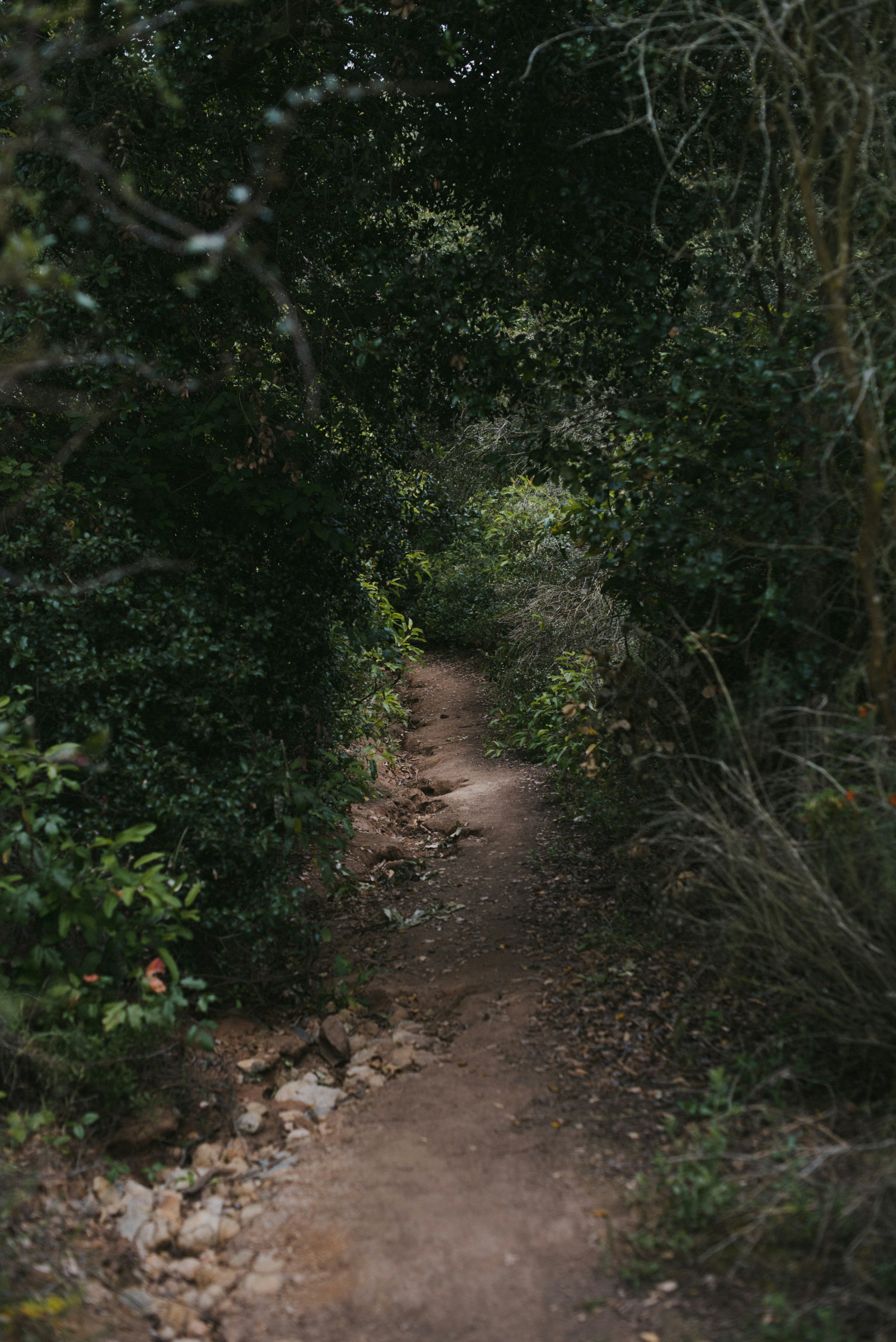 Photo by octoberroses