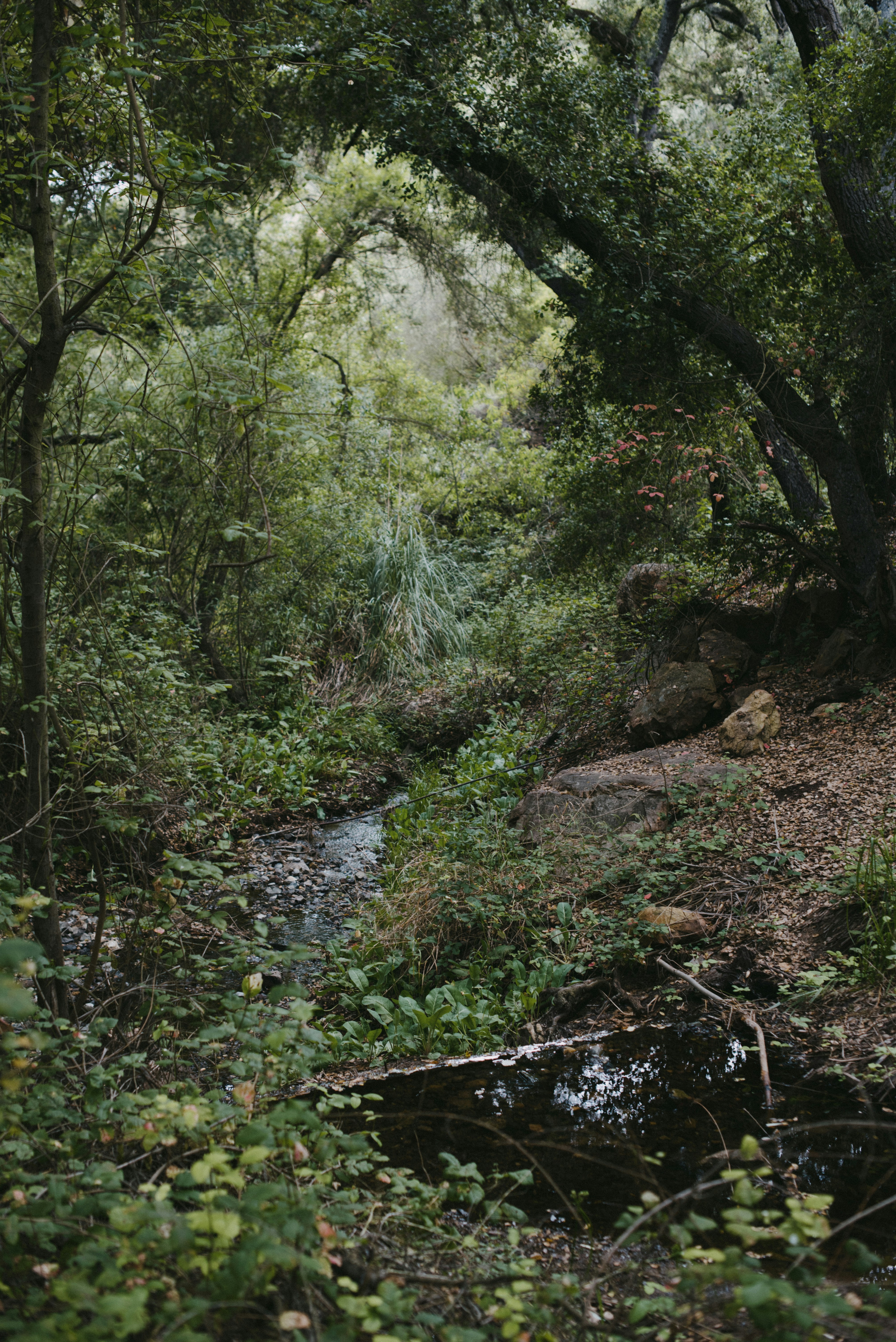 Photo by octoberroses