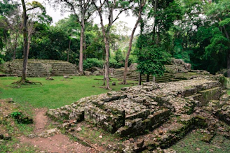 Archaeologists carefully excavating an ancient site in Ecuador surrounded by lush greenery.