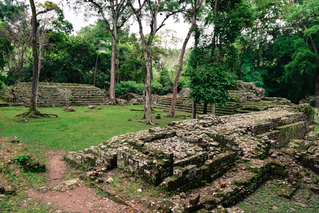 Archaeologists carefully excavating an ancient site in Ecuador surrounded by lush greenery.