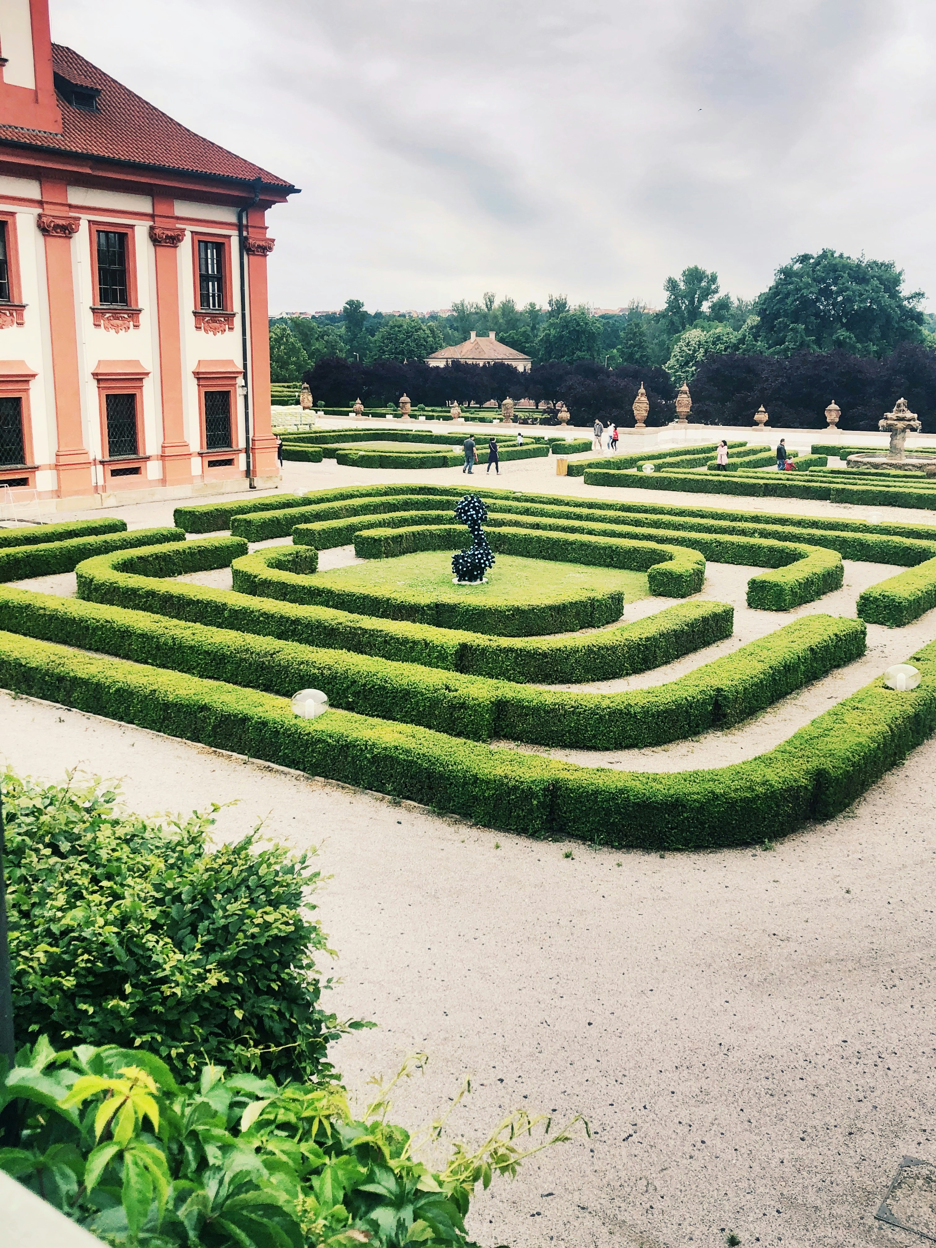 미로가 나오는 꿈 해몽, 꿈 풀이(+자세한 해석)이미지