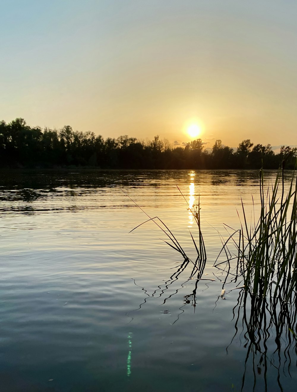 body of water near trees during sunset