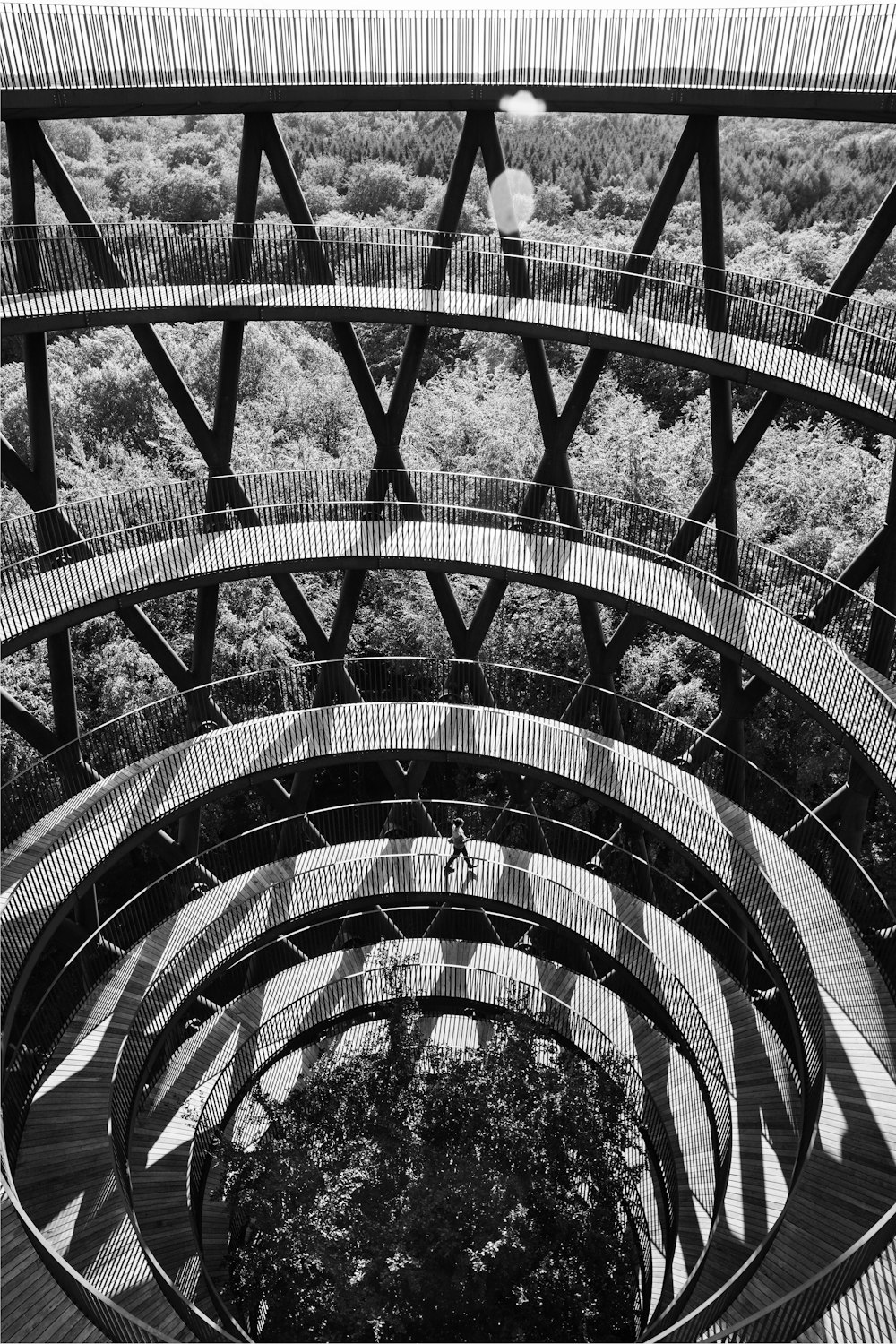 grayscale photo of spiral stairs