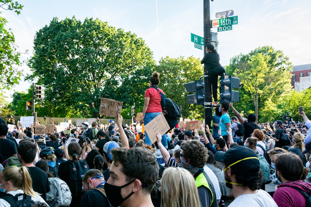 people standing on street during daytime